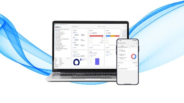 Mikro Erp Kasa Banka Bakiye Raporu 